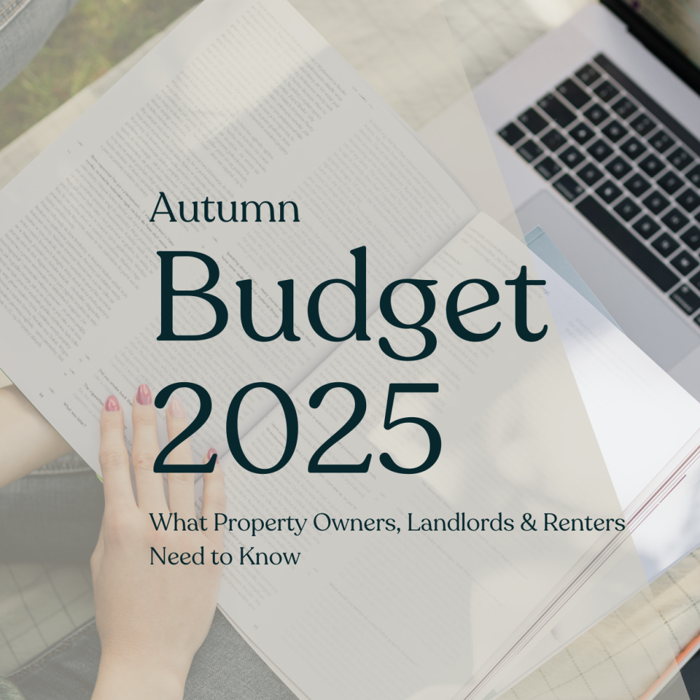 Blog Banner for Website Content